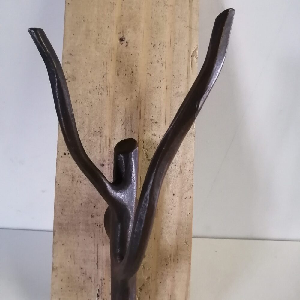 Alternative view of Smolten Twig Hook, Winter